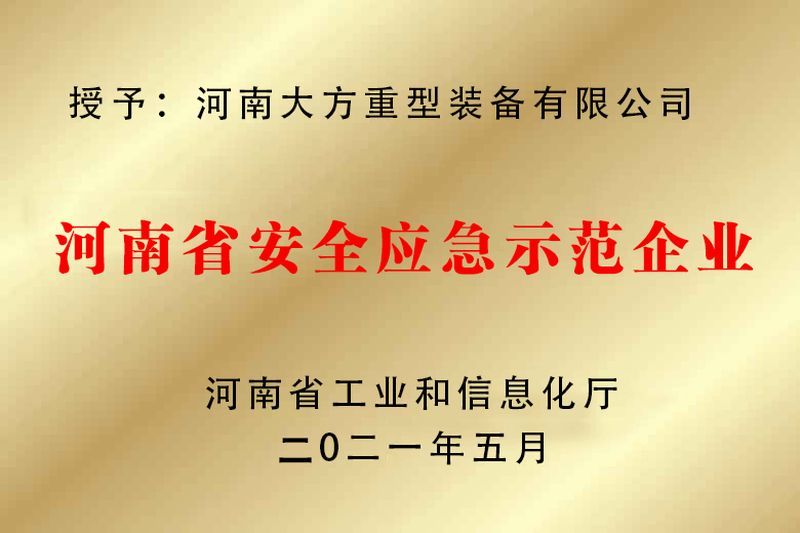 應急示范